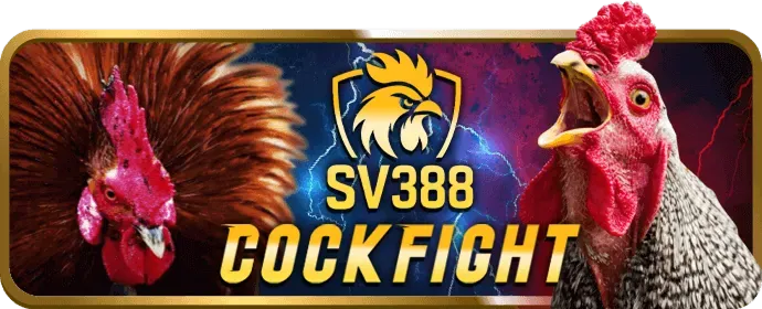 Hình ảnh hướng dẫn tải và cài đặt Melbet APK