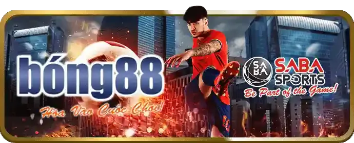 Trải nghiệm mượt mà trên di động